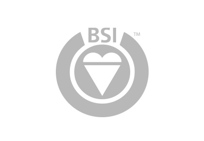 BSI Logo