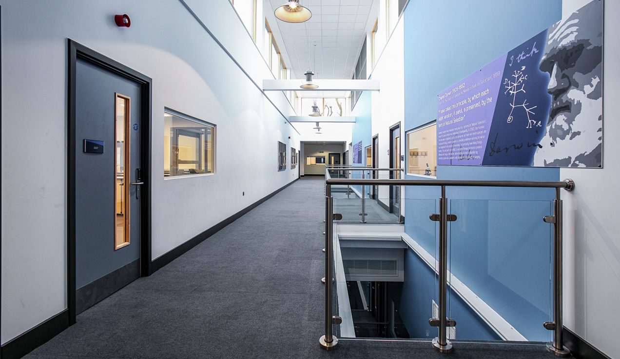 5 - Oasis Academy Interior