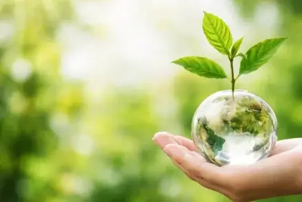 Our commitment to environmental standards